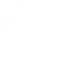 【樂福織品】三件+三雙 夏日優惠組  夏雪 涼感短袖 – 男 白色尖領 + 知足 運動襪 – Monstera/Festia – 涼爽舒適好吸汗，汗臭腳臭不再來!-XXL